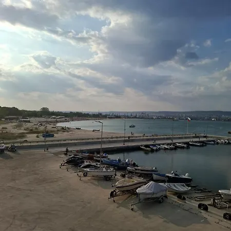 דירה Violasuite In South Bay By Rv